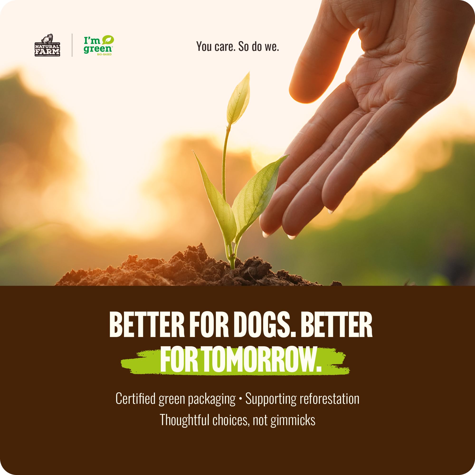Natural Farm chew-action image displays durable 6-inch chew for dogs.