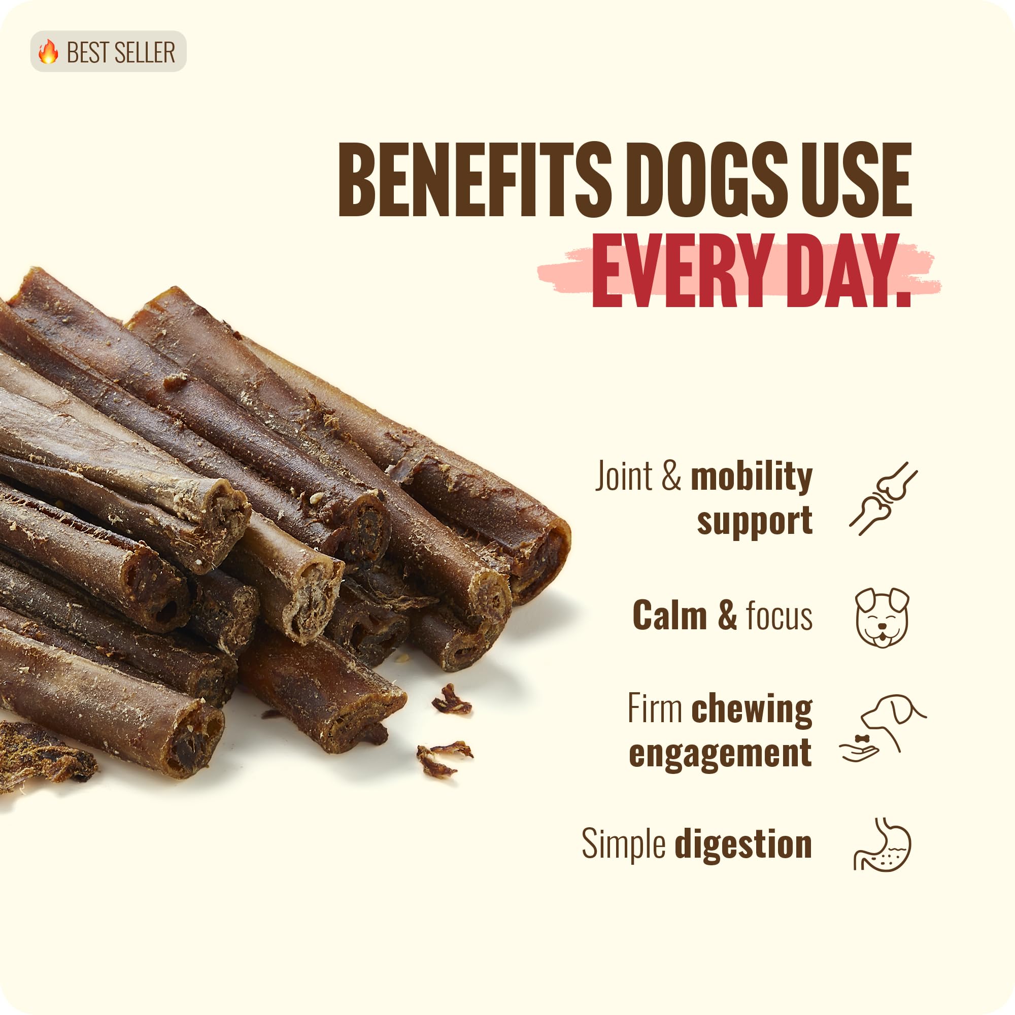Natural Farm collagen chew supports joint-friendly play