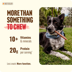 Natural Farm Collagen Sticks 6-Inch close-up texture reveals dense chewy beef skin