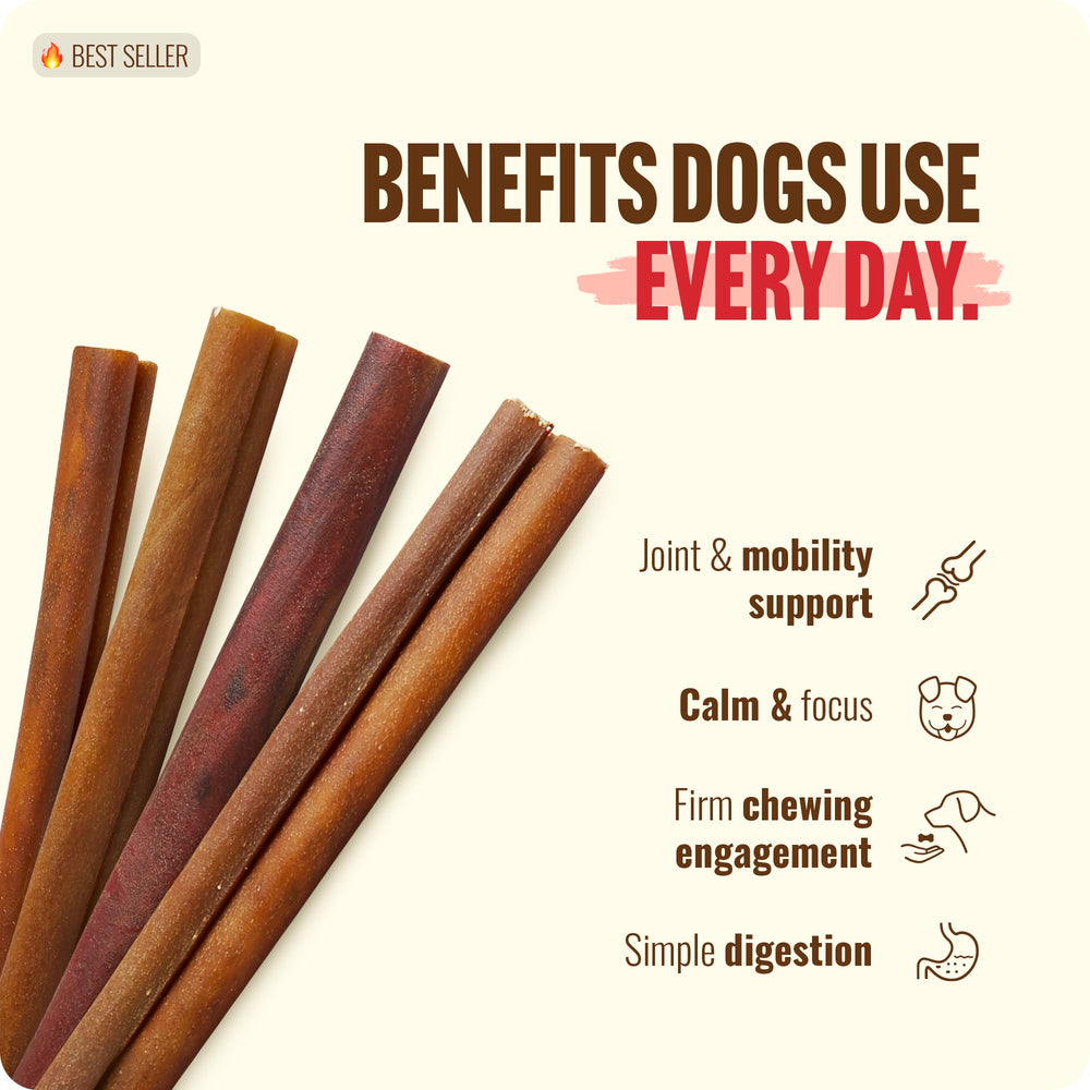 Natural Farm Collagen Sticks promotes chewing activity and dental hygiene.