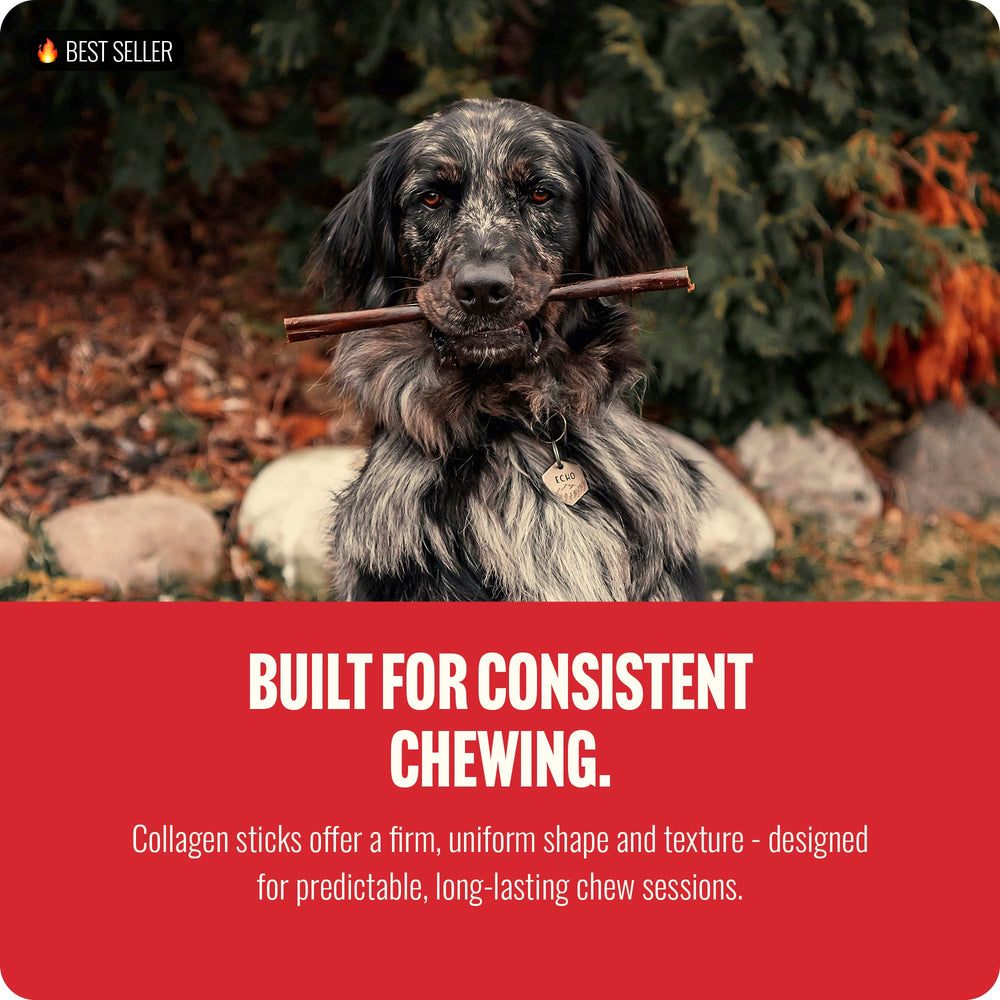 Natural Farm dog chewing action on a 6-inch collagen stick