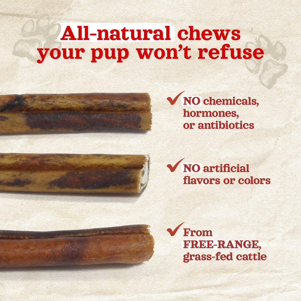 Dog enjoying a Natural Farm collagen stick during playtime