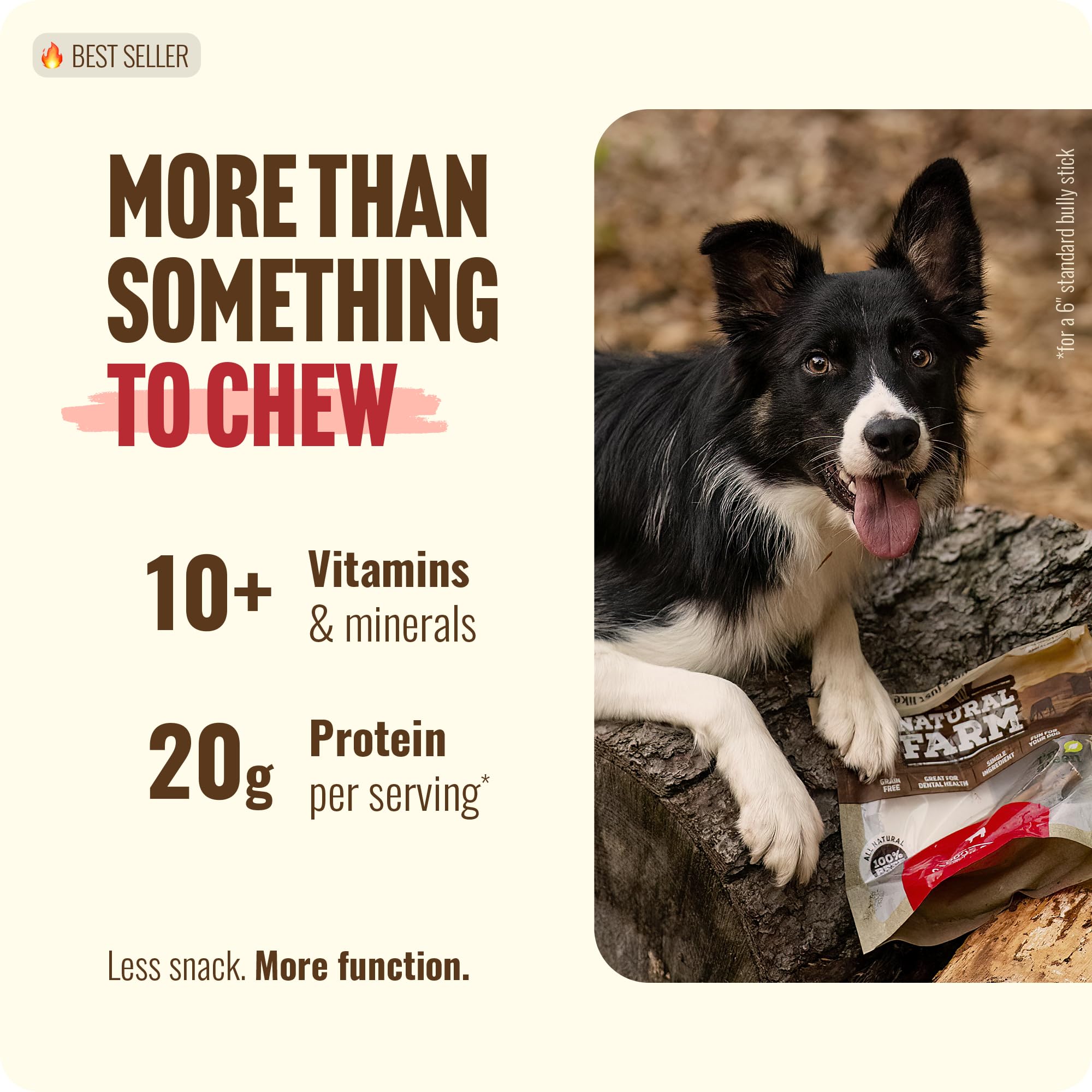Natural Farm dog chews beef skin close-up highlighting texture