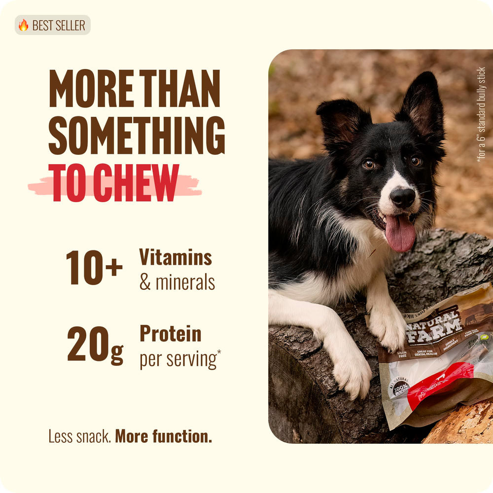 Natural Farm dog chews beef skin close-up highlighting texture