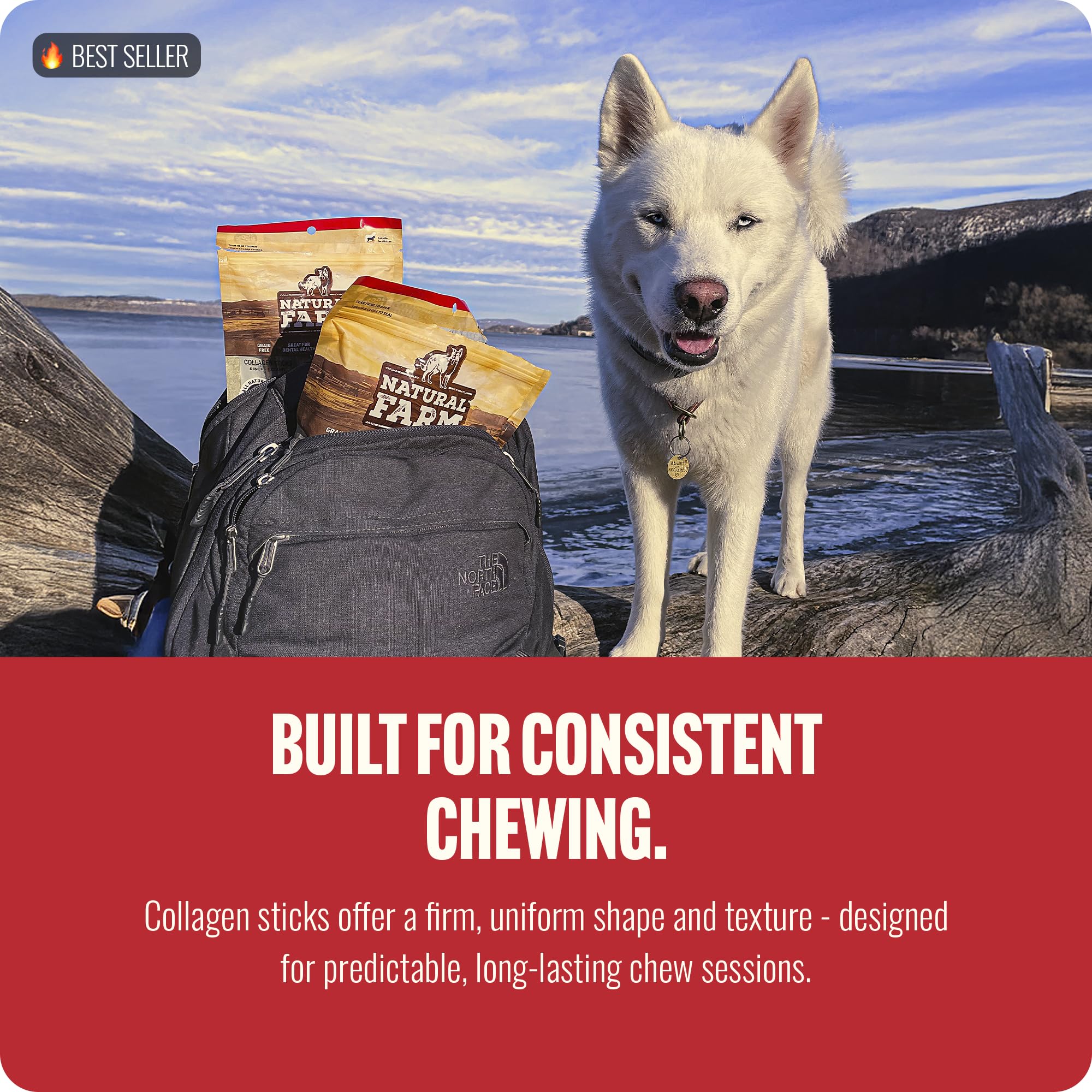 Natural Farm 12-inch braided chew suited for active dogs during playtime