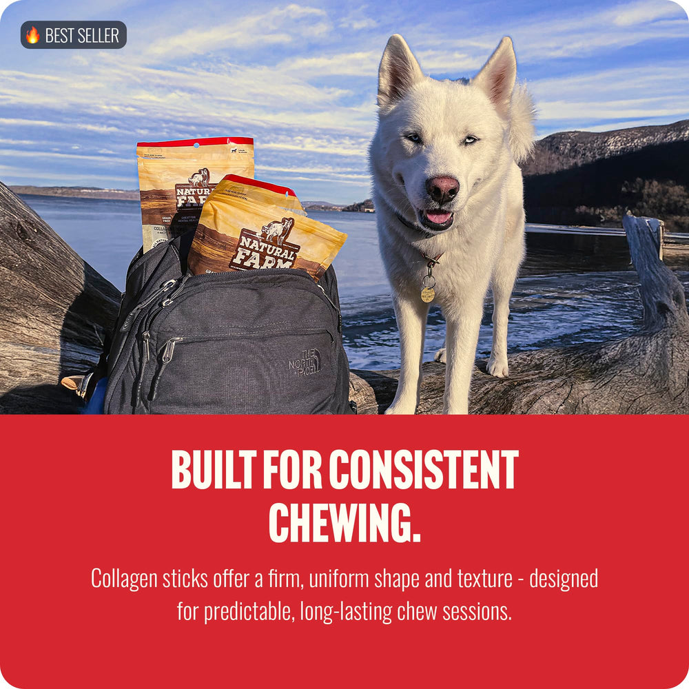 Natural Farm 12-inch braided chew suited for active dogs during playtime