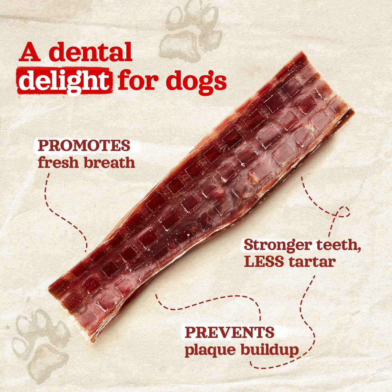 Natural Farm dog enjoying gullet sticks during playtime