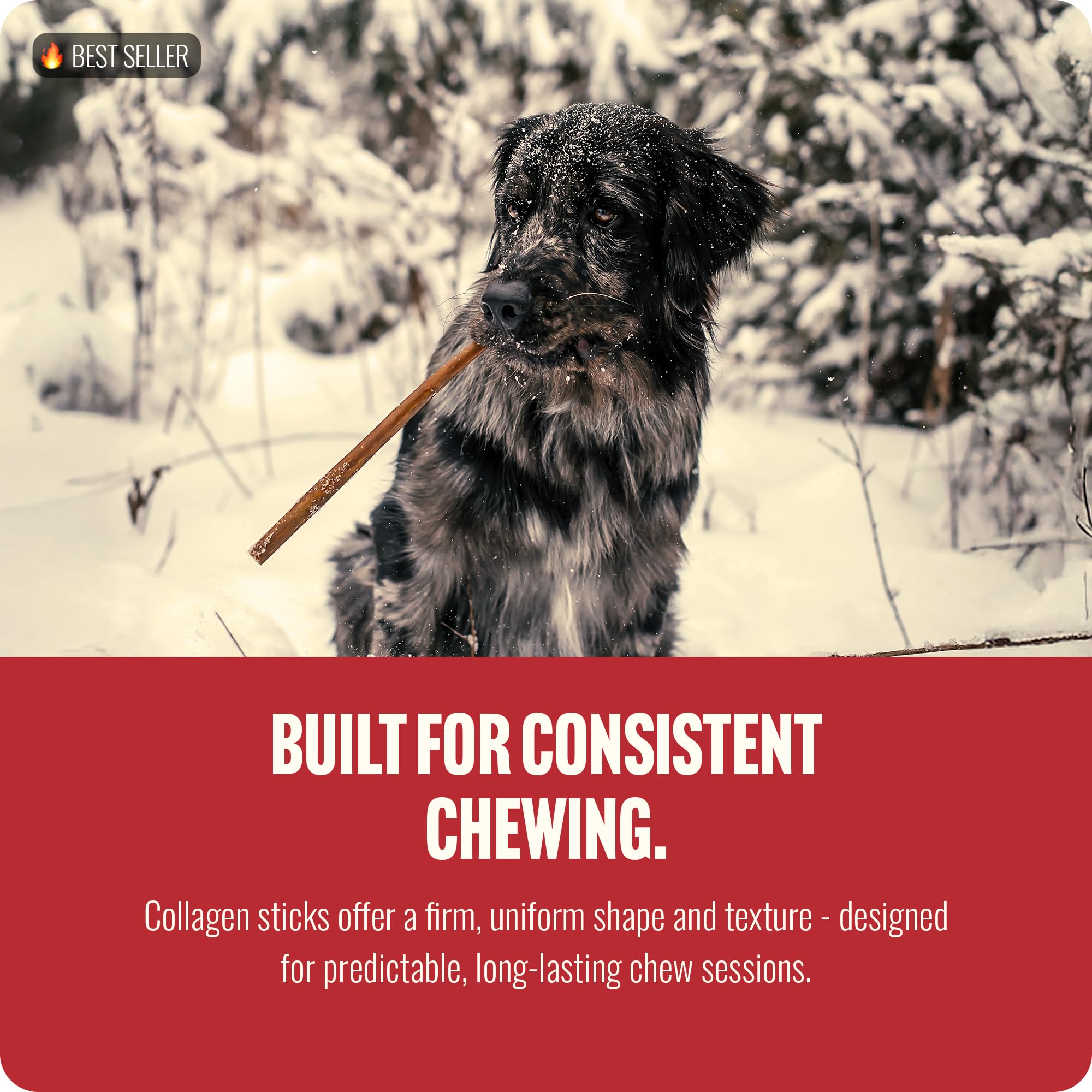 Durable 12-inch dental chew from Natural Farm for strong chewers