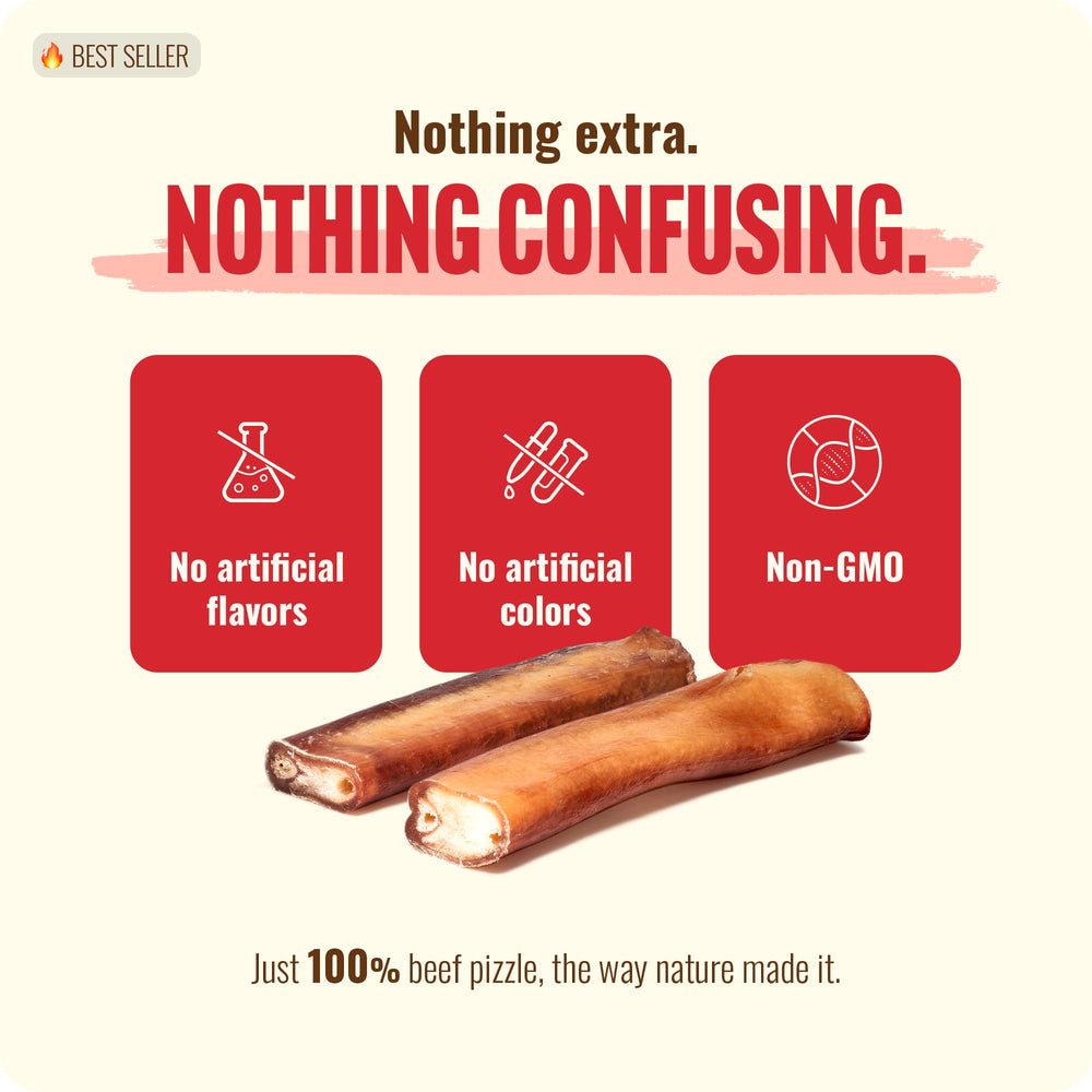 Natural Farm Extra-Thick 6-Inch Bully Sticks – durable chew for extended sessions