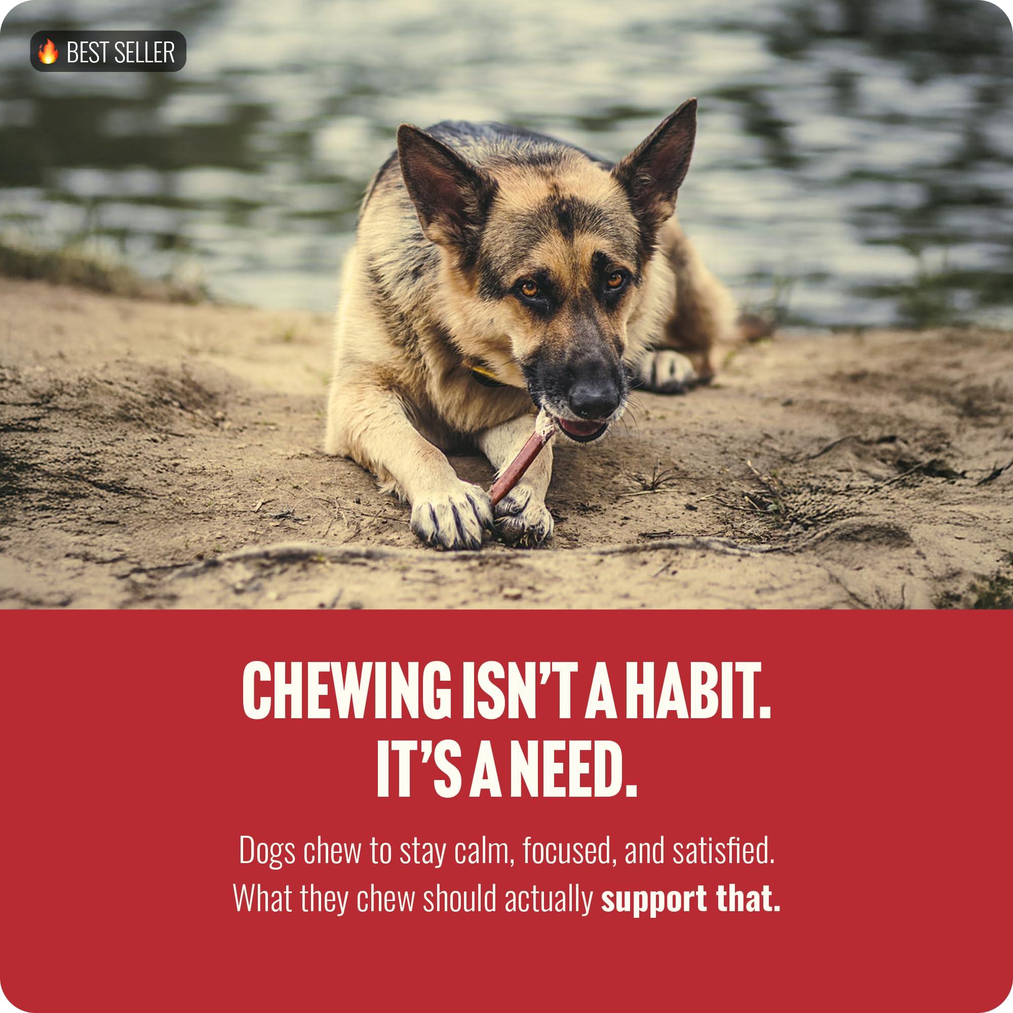 Natural Farm fully-digestible dog chew supports easy digestion.
