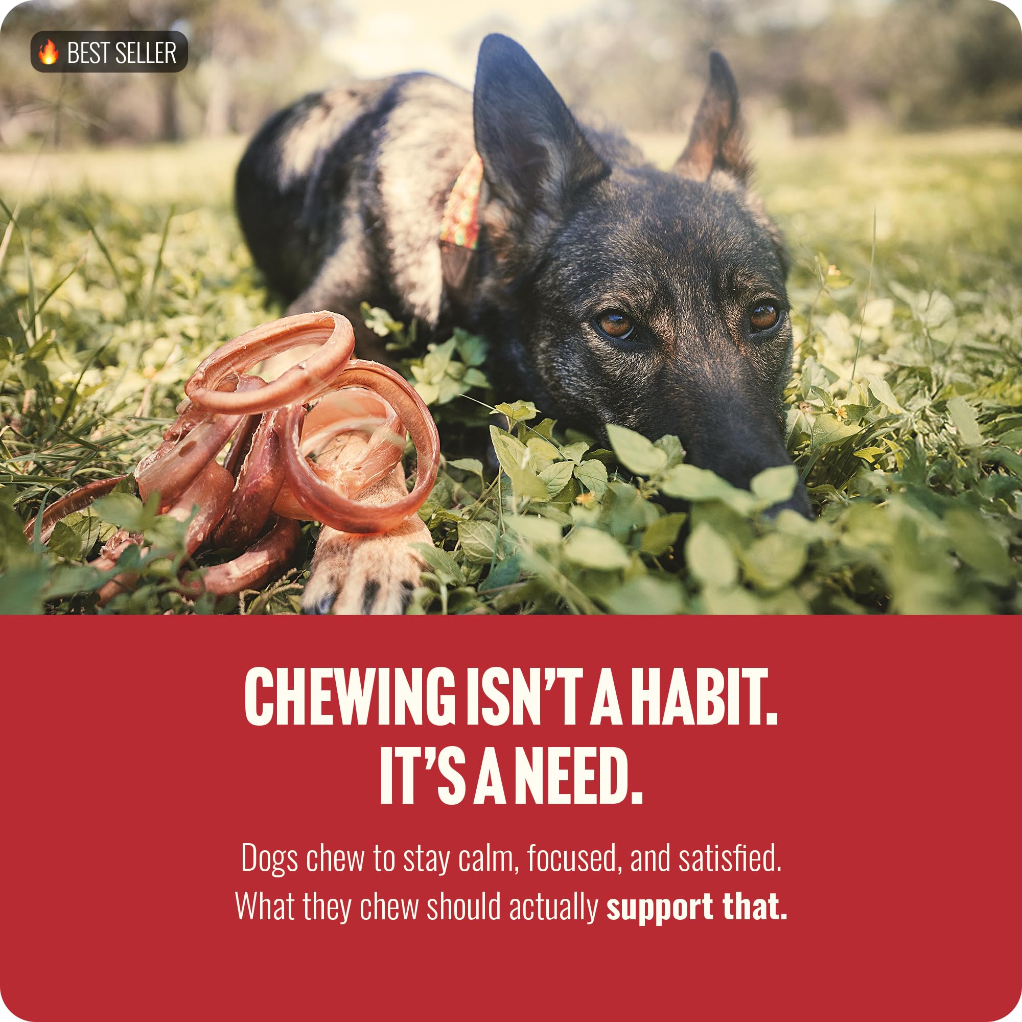 Natural Farm Fully Digestible Chews designed for easy digestion and long-lasting engagement.