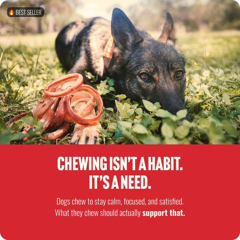 Natural Farm Fully Digestible Chews designed for easy digestion and long-lasting engagement.