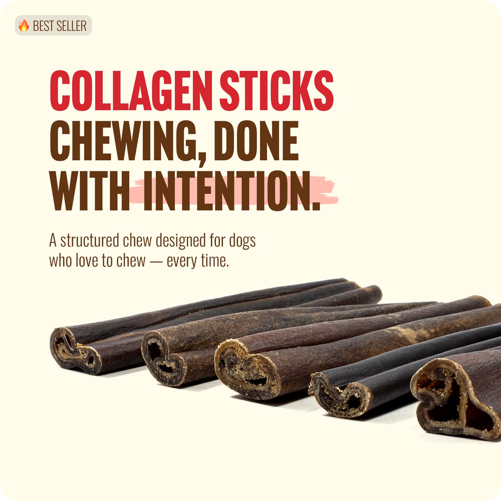 Natural Farm Long-Lasting Collagen Chews offer extended chewing time for dogs.