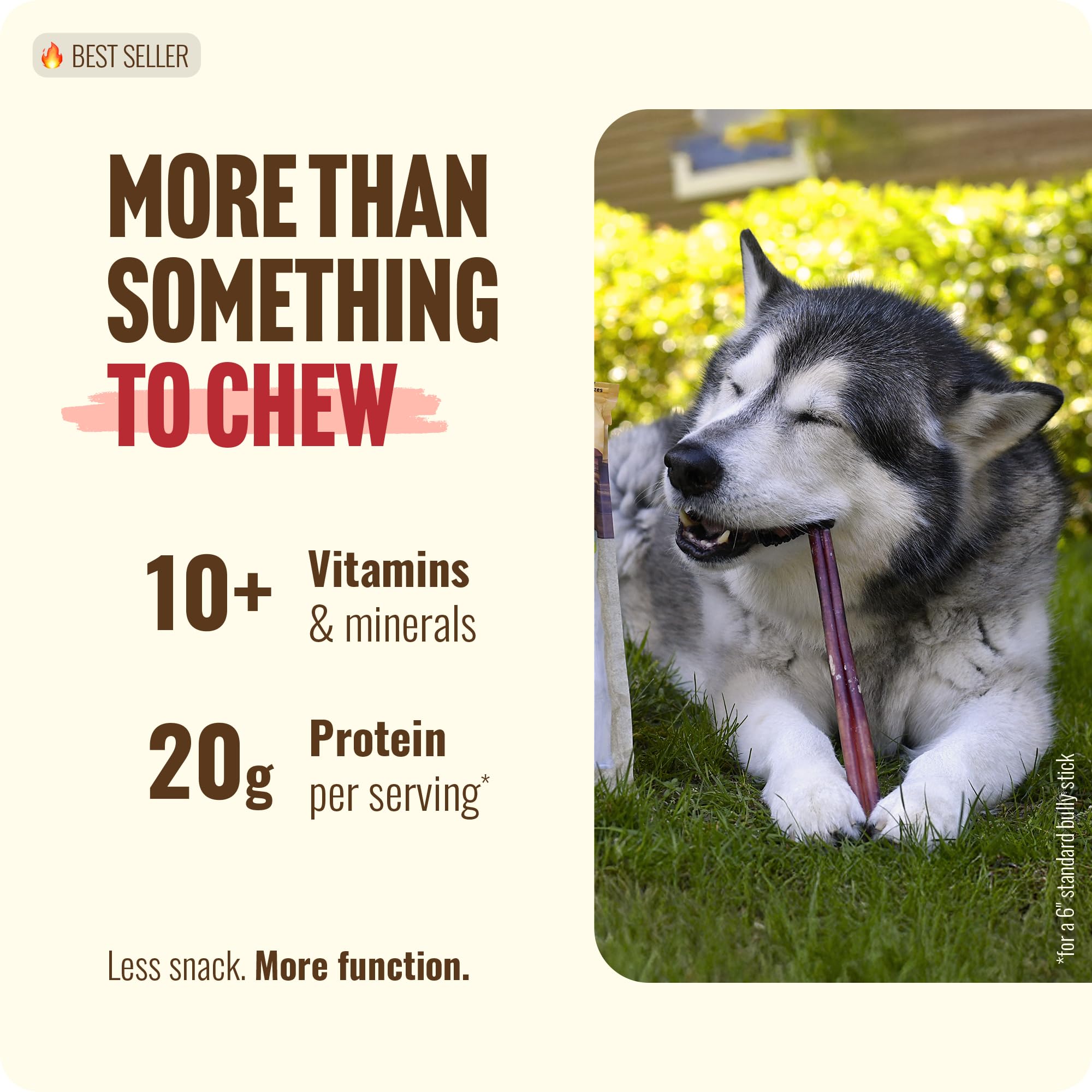 Natural Farm long-lasting dog chew for energy and focus.