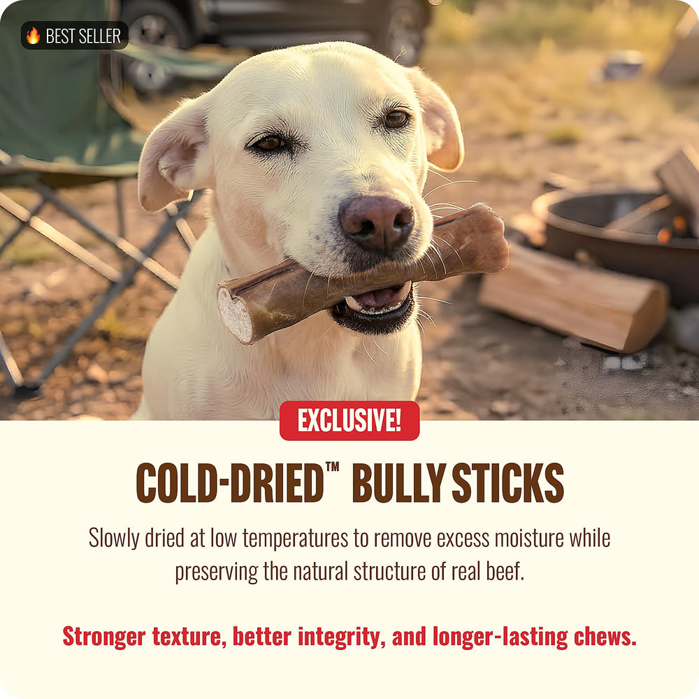 Natural Farm bully stick displaying nearly 20 g protein per stick