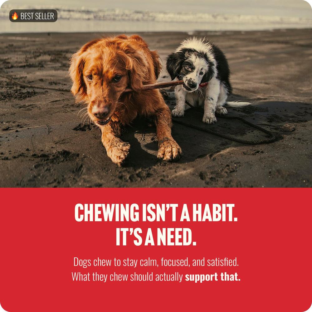 Natural Farm non-GMO beef treats for dogs support ingredient transparency
