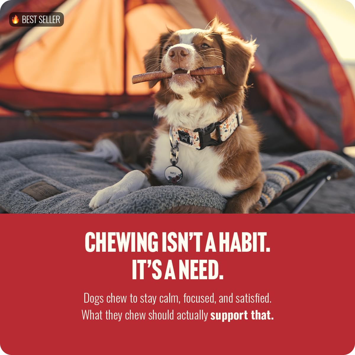 Non-GMO, hormone-free beef chew, safe daily treat