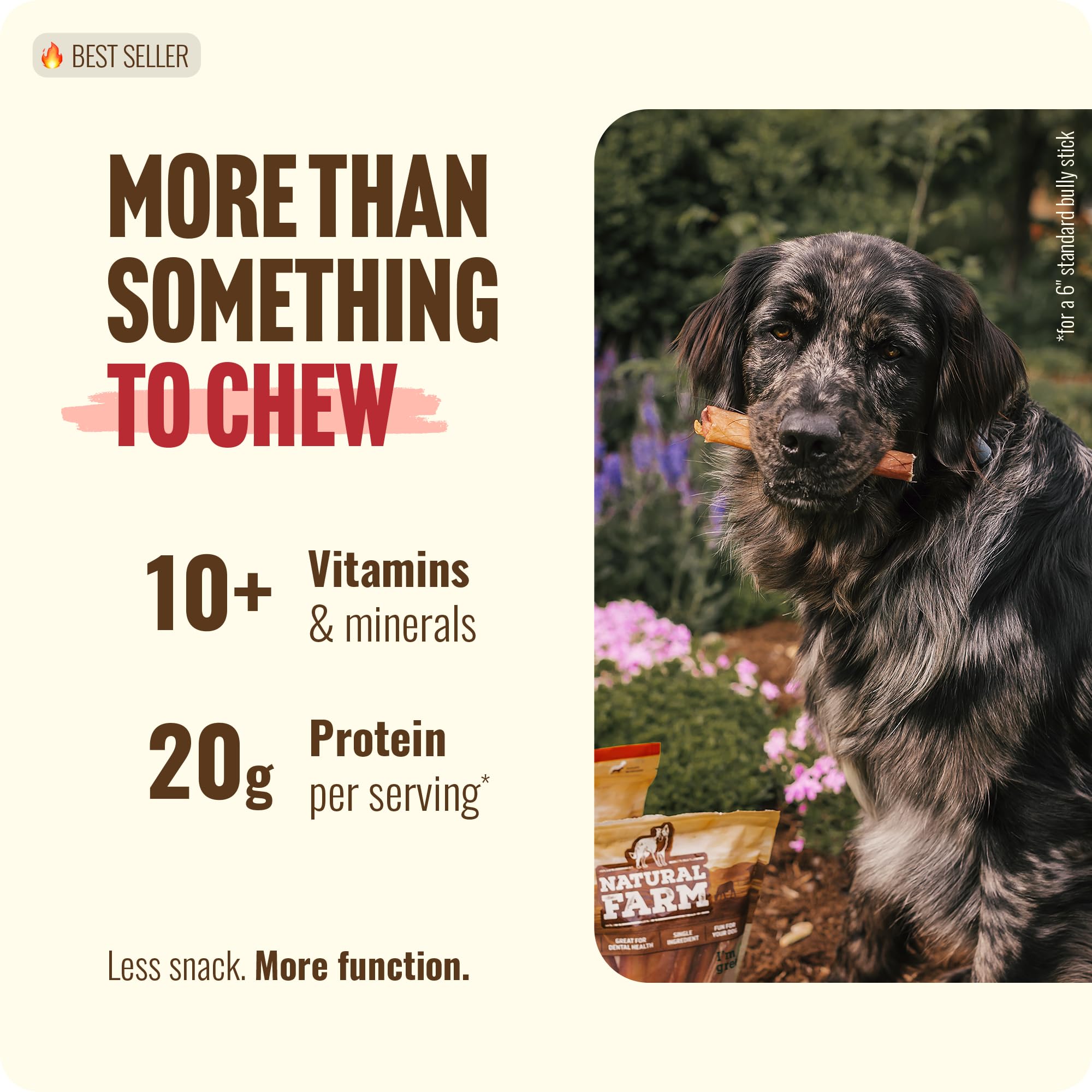 Natural Farm odor-free beef bully sticks, 12-inch length for cleaner sessions