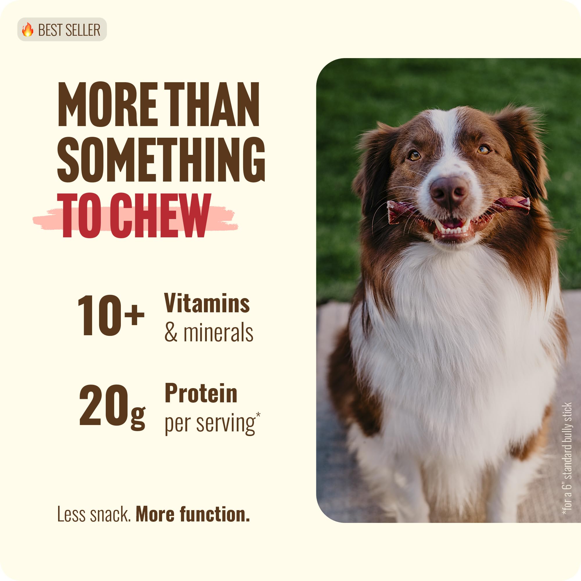 Natural Farm braided bully sticks 4-5 inch display—grain-free chew for dogs.