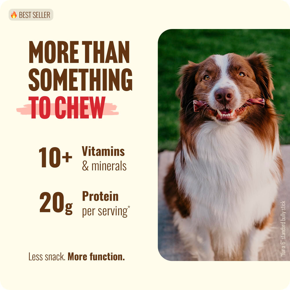 Natural Farm braided bully sticks 4-5 inch display—grain-free chew for dogs.