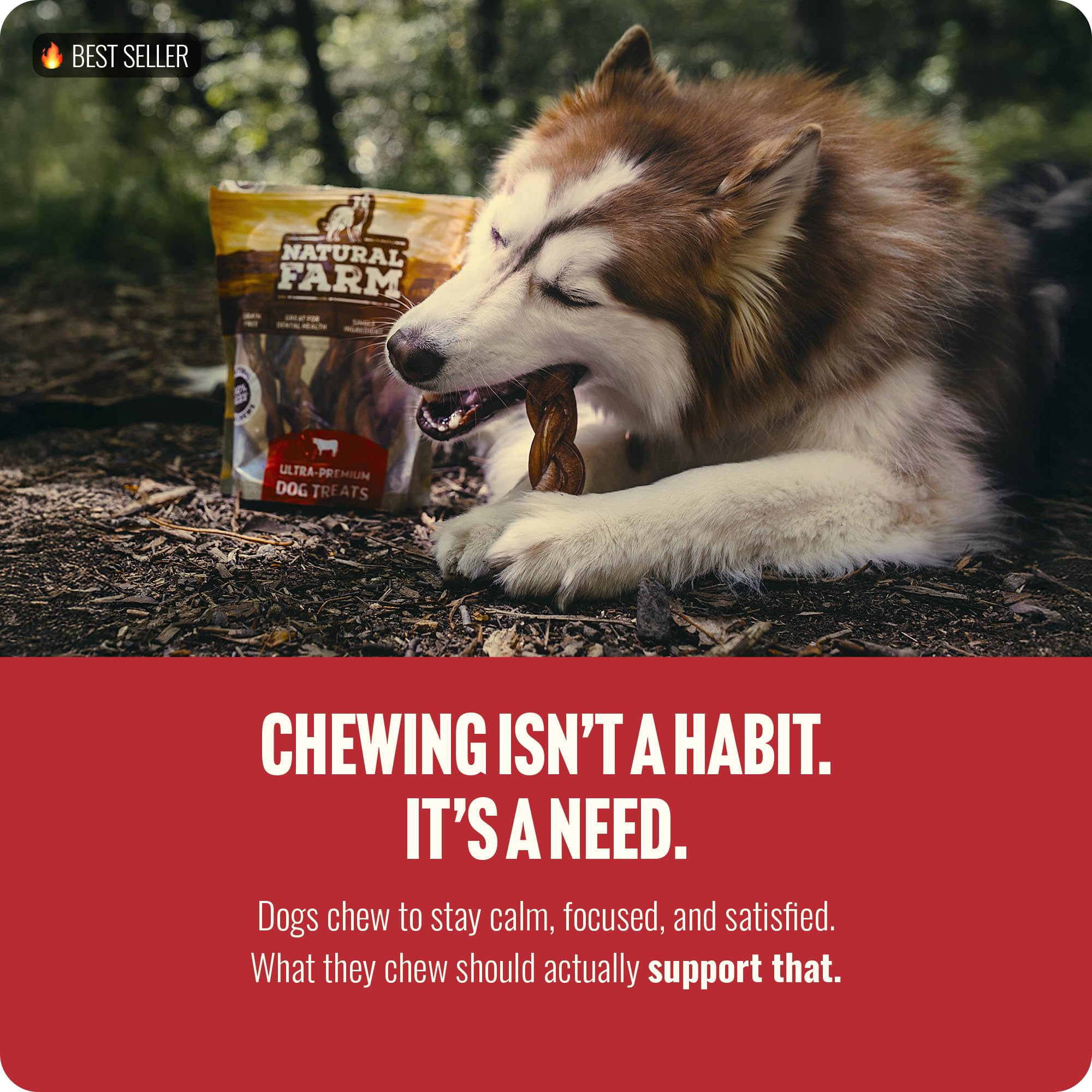 Natural Farm odor-free braided bully sticks close-up—satisfying texture for chewing.