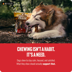 Natural Farm odor-free braided bully sticks close-up—satisfying texture for chewing.