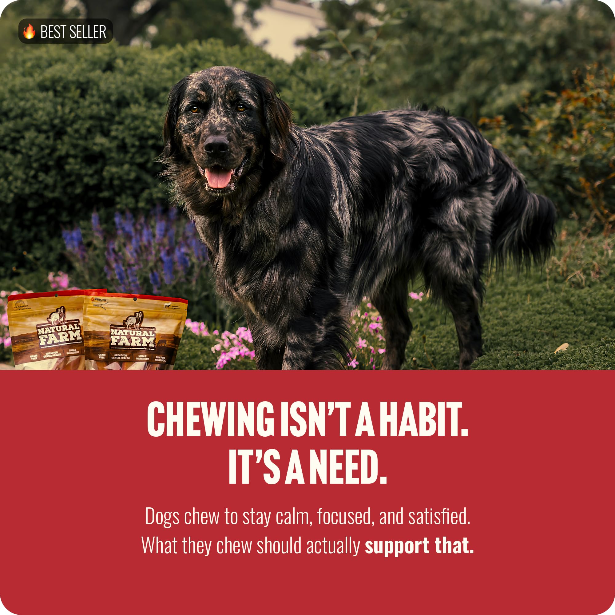 Natural Farm Odor-Free Bully Sticks from grass-fed sources highlighted