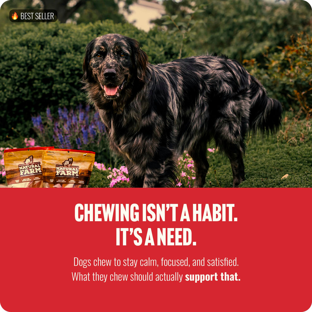 Natural Farm Odor-Free Bully Sticks from grass-fed sources highlighted