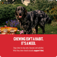 Natural Farm Odor Free Bully Sticks grain-free formula for digestion-friendly treat