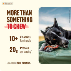 Natural Farm Odor-Free Curly Bully Sticks dog chewing to boost engagement