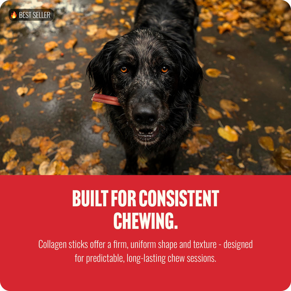 Natural Farm odor-free dental-friendly chew representing plaque control.