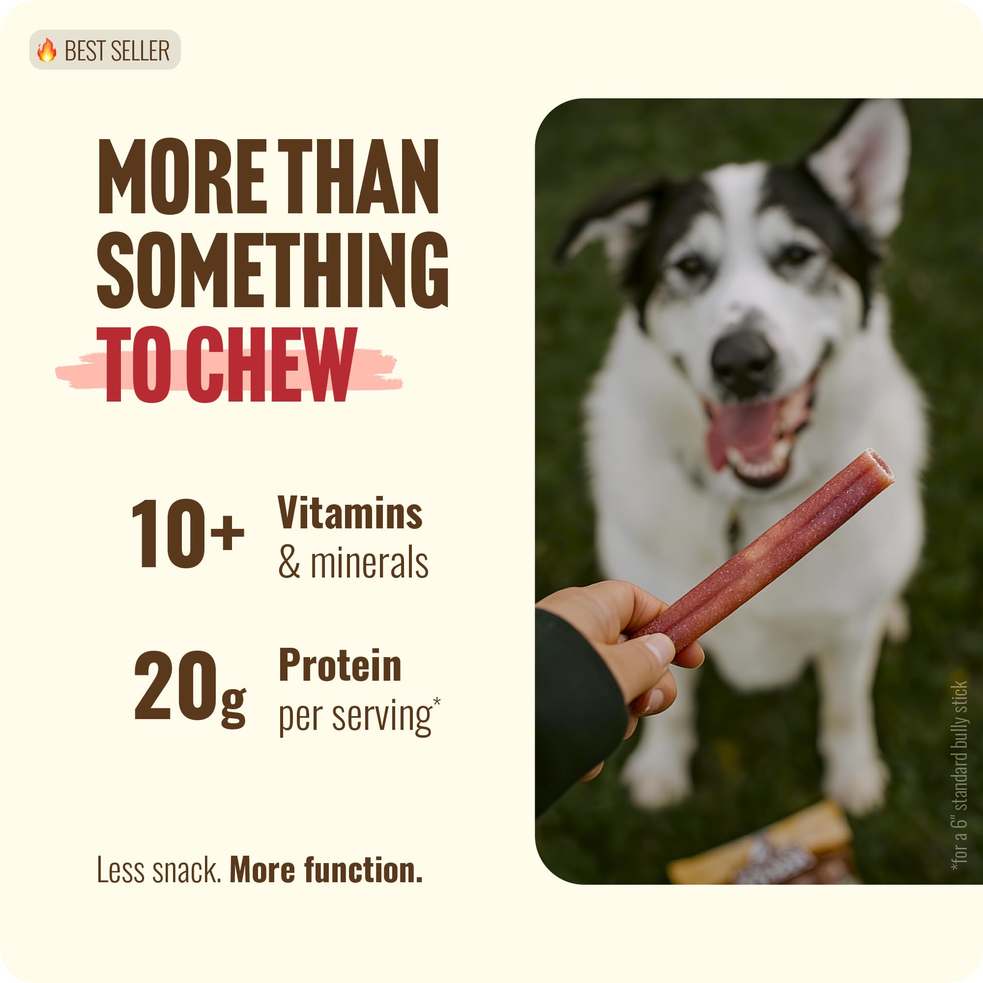 Dog enjoys Natural Farm Odor-Free Super Collagen chew during playtime.