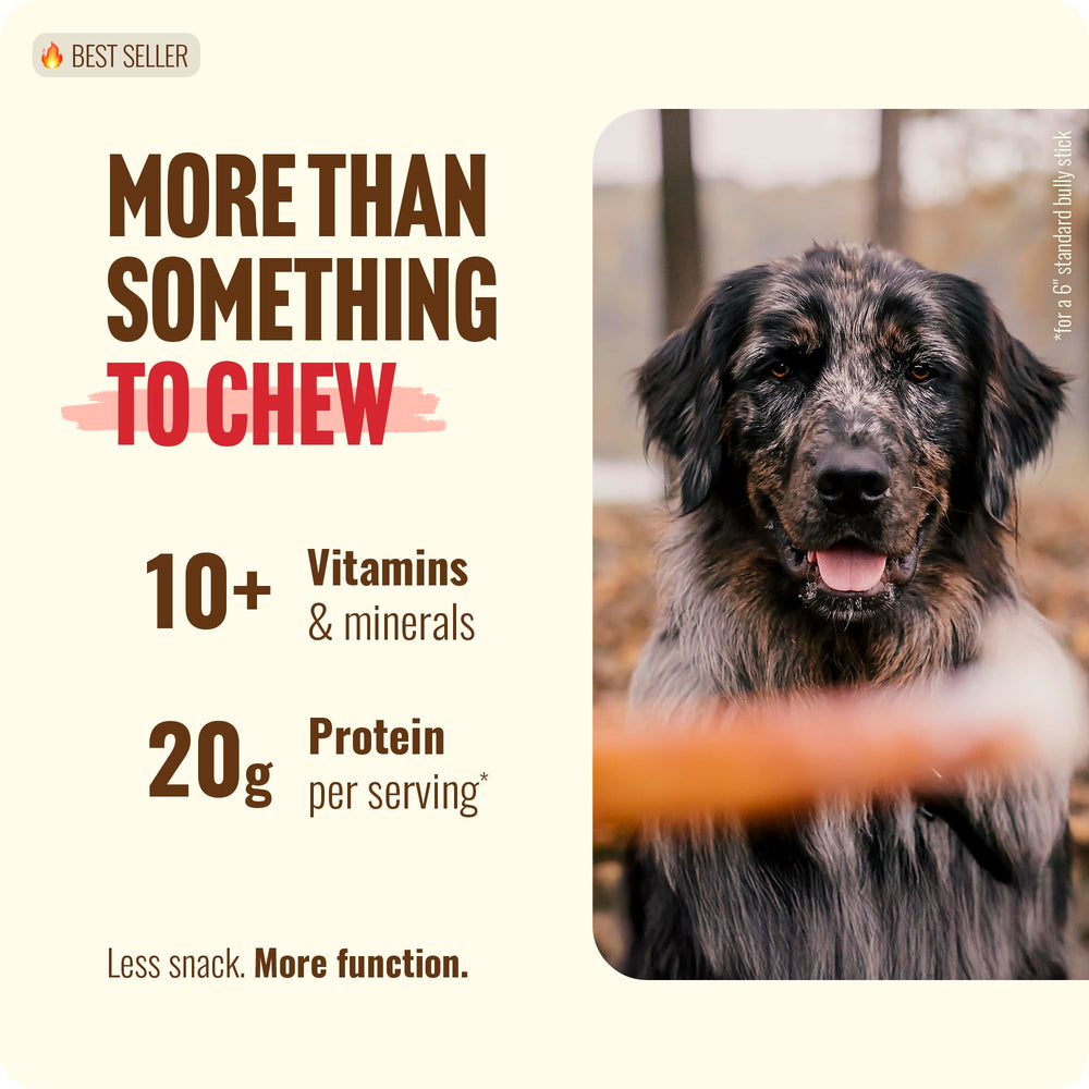 Natural Farm Odor-Free Thick Bully Sticks grass-fed sourcing from Brazilian cattle