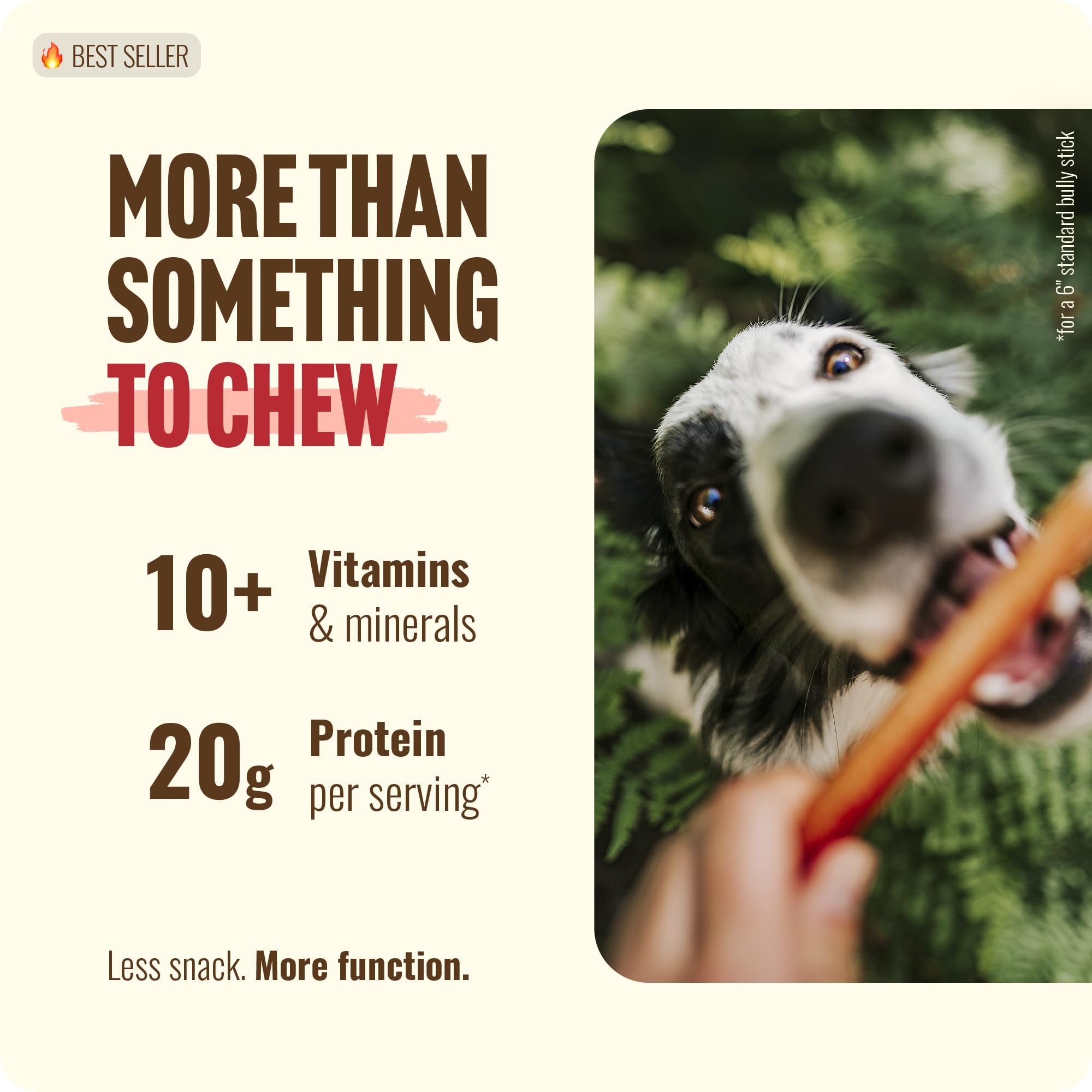 Close-up of Natural Farm odor-free bully sticks showing dense texture