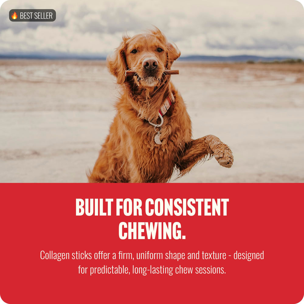 Natural Farm collagen sticks dental benefits image showing jaw engagement use