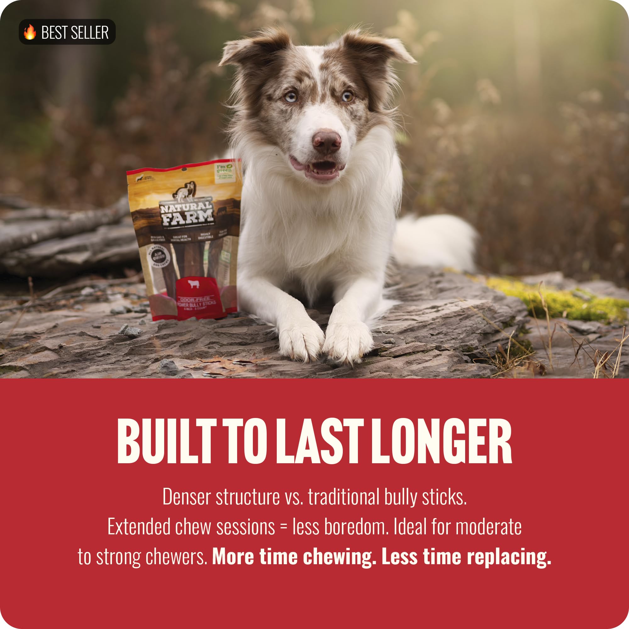 Beef cheek wrapped with beef pizzle provides long-lasting chew for dogs