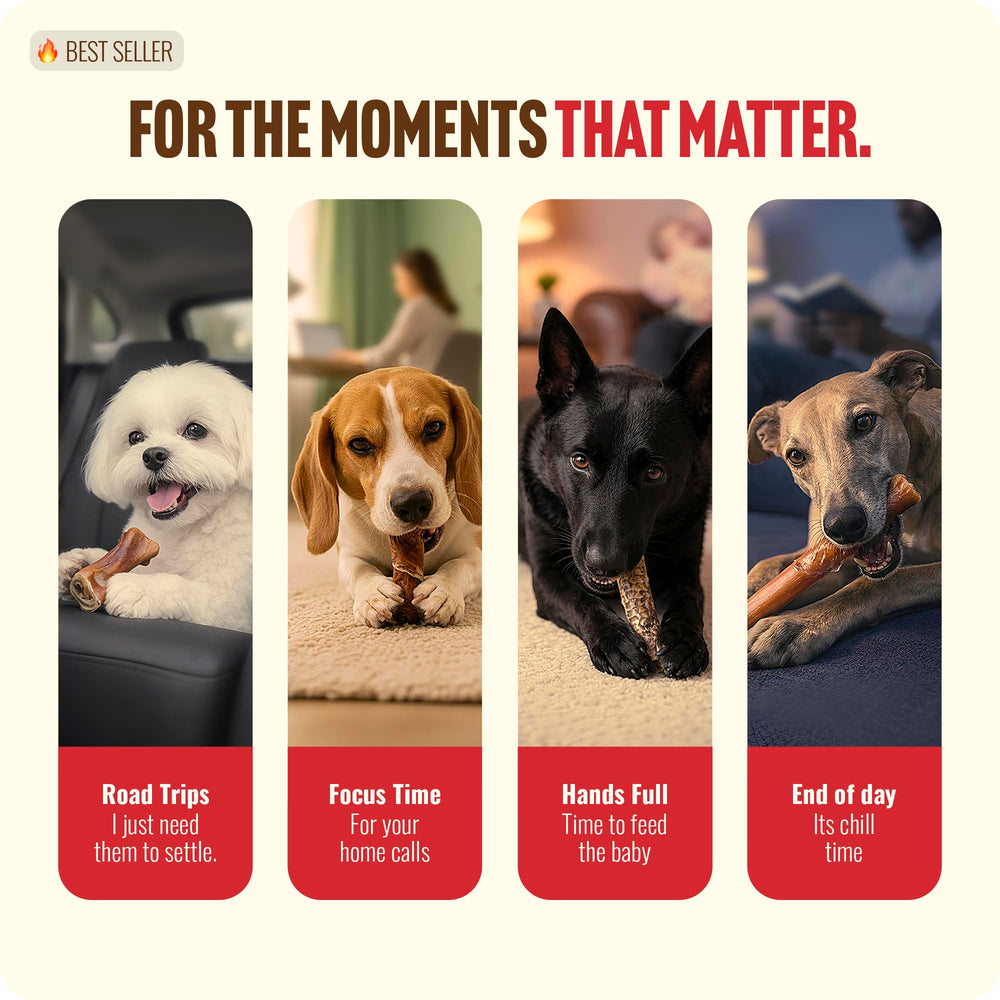 Natural Farm Power Bully Sticks dog-chewing scene captures a satisfied, engaged pup.