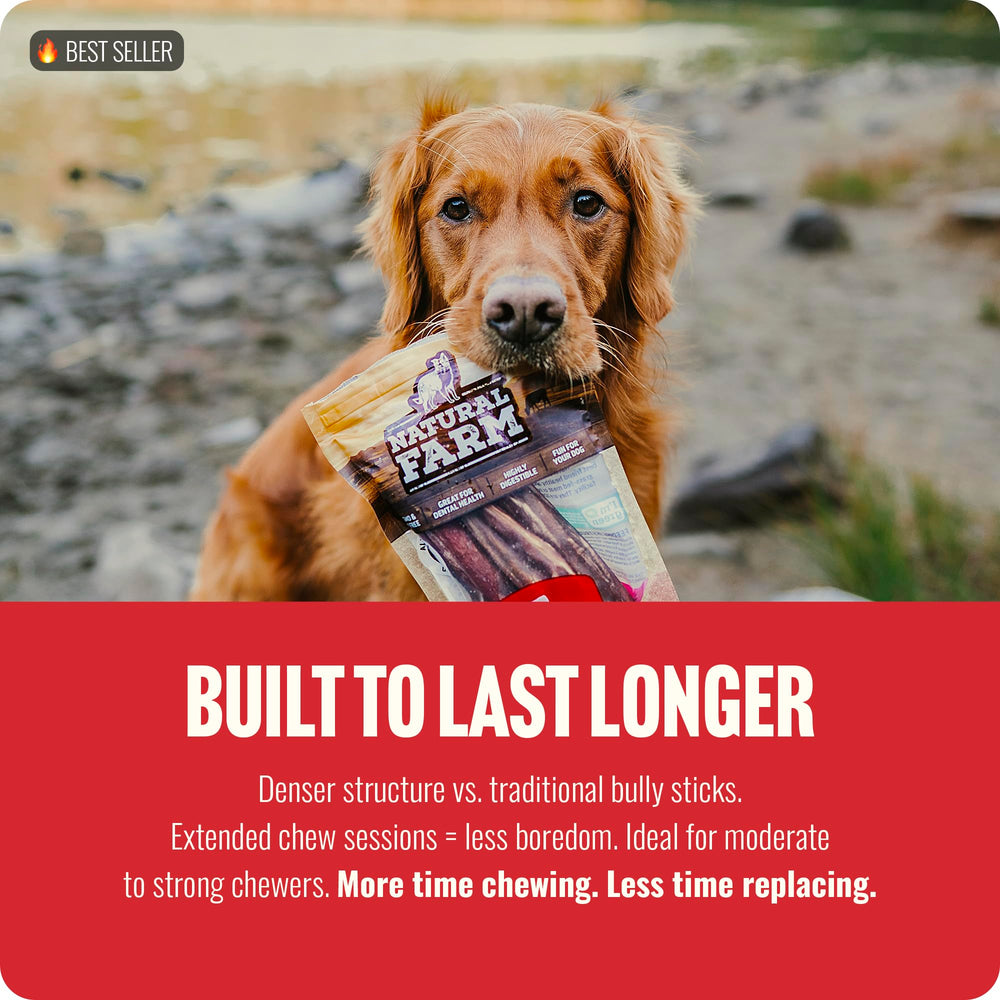 Natural Farm Power Bully Sticks dual-texture cut reveals premium ingredients for satisfying chews