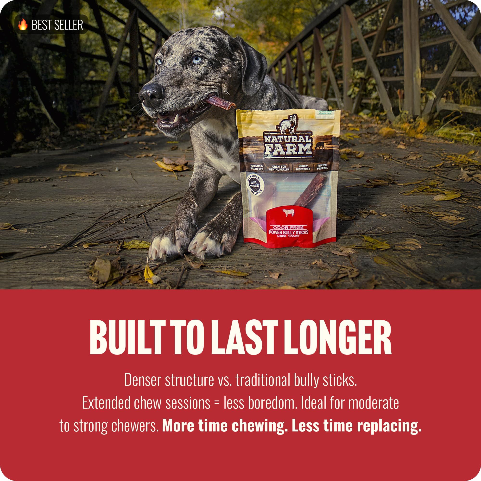 Natural Farm Power Bully Sticks beef cheek texture, grass-fed protein for muscles and coat.