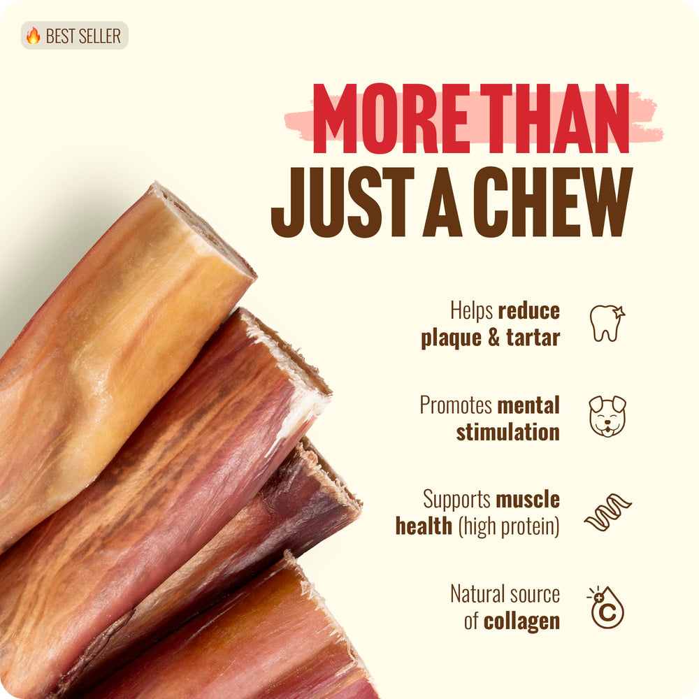 Extended chew time supports engagement during training and play