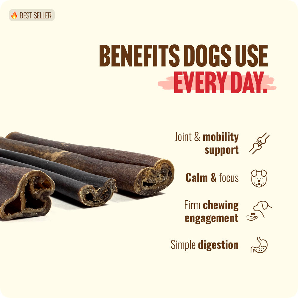 Natural Farm Six-inch sticks are easy to portion for dogs.