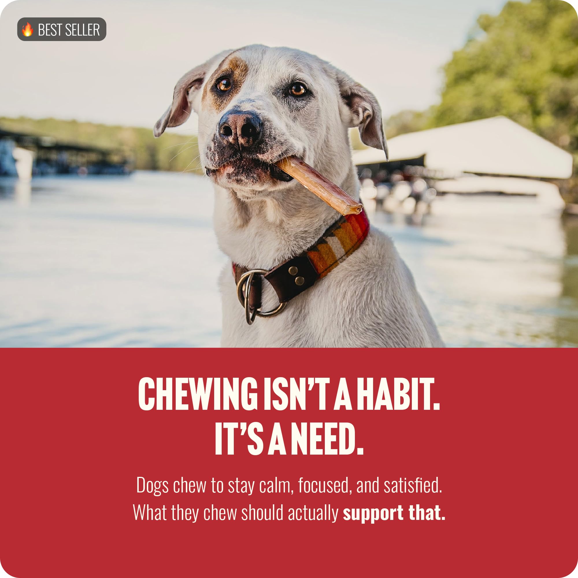 Natural Farm slow air-drying preserves flavor and texture for satisfying chews