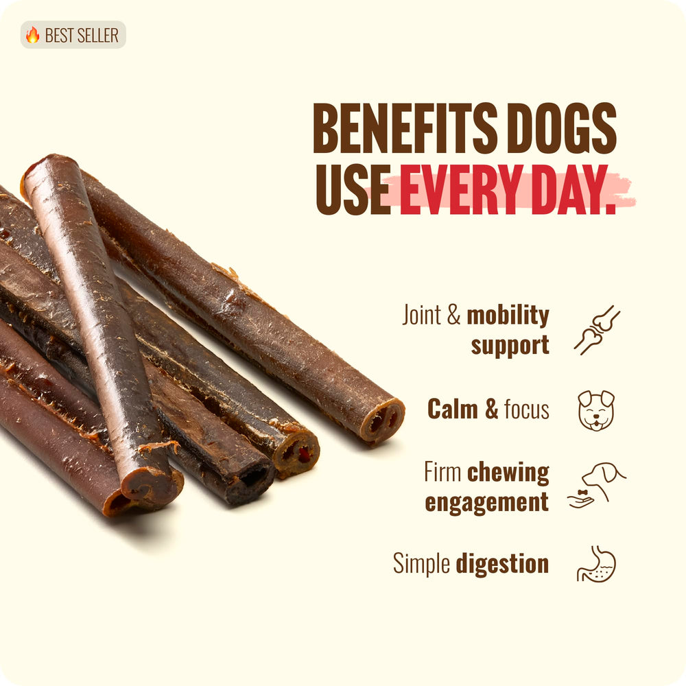 Natural Farm teeth cleaning potential and fresher breath during regular chewing