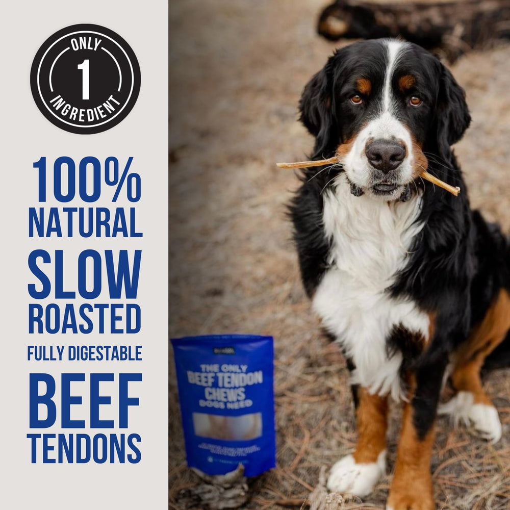 Natural Rapport beef tendon chews with dogs chewing for long-lasting entertainment