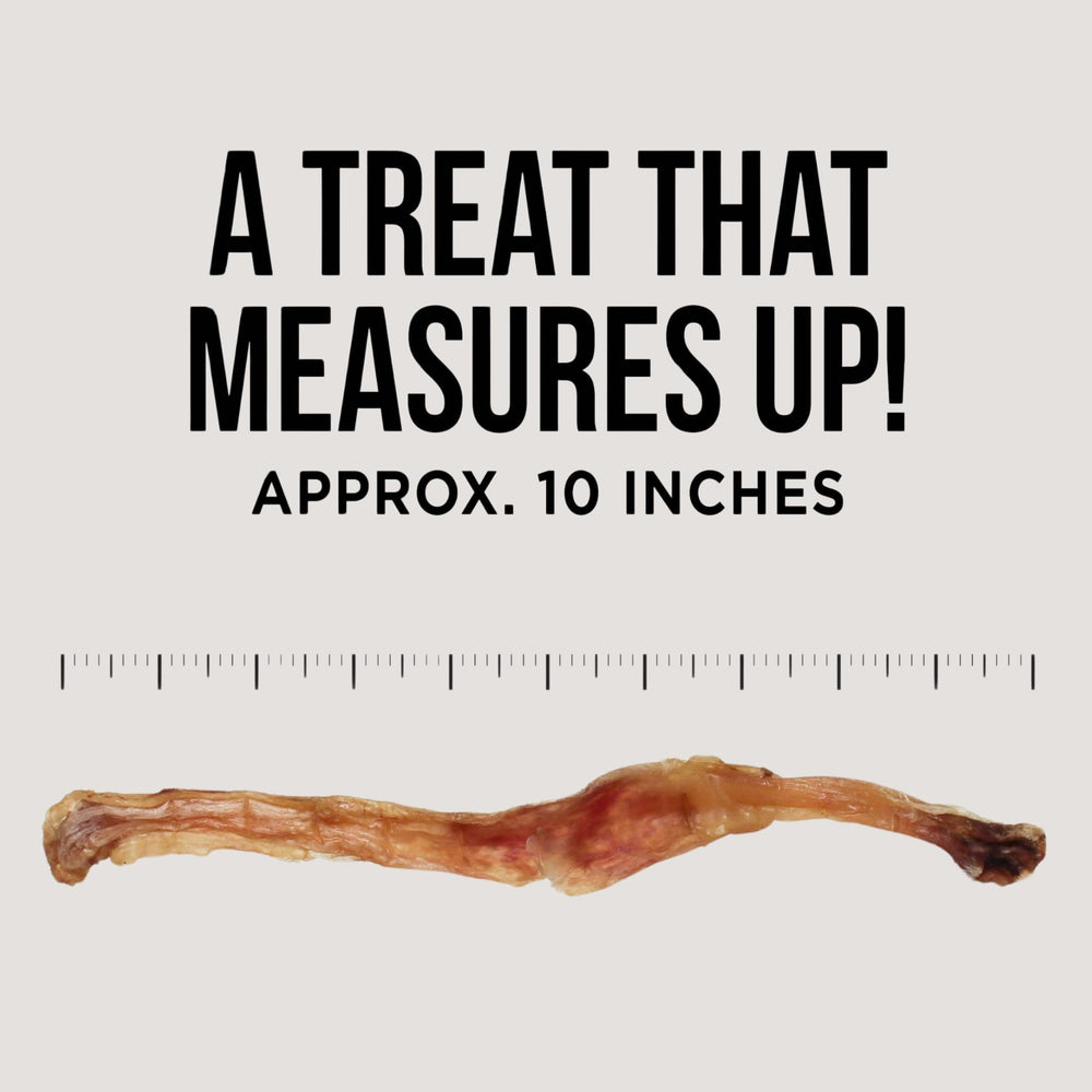 Natural Rapport beef tendon chews pack open showing contents for review