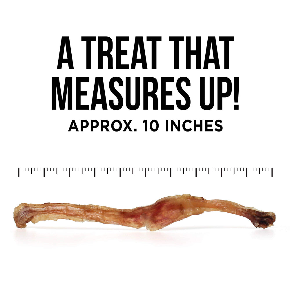 Natural Rapport beef tendon dog chews packaging image with USA-sourced ingredients