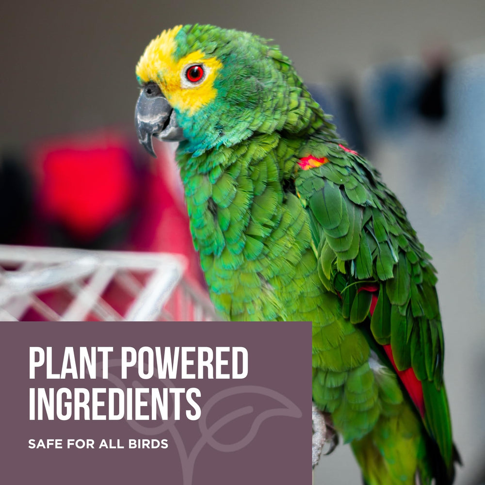 Natural Rapport plant-based formula for enzyme action breaking down dried bird waste.