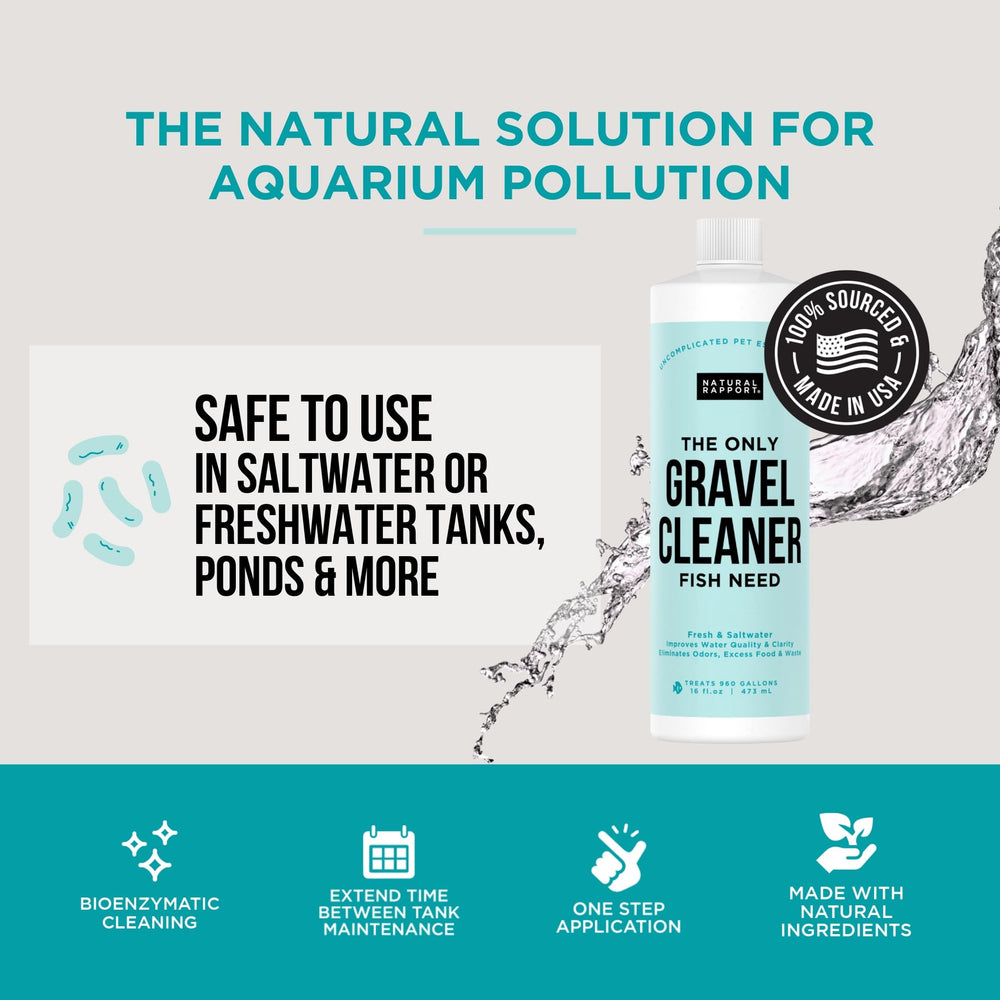Natural Rapport water clarity improvement scene suggesting healthier tank water