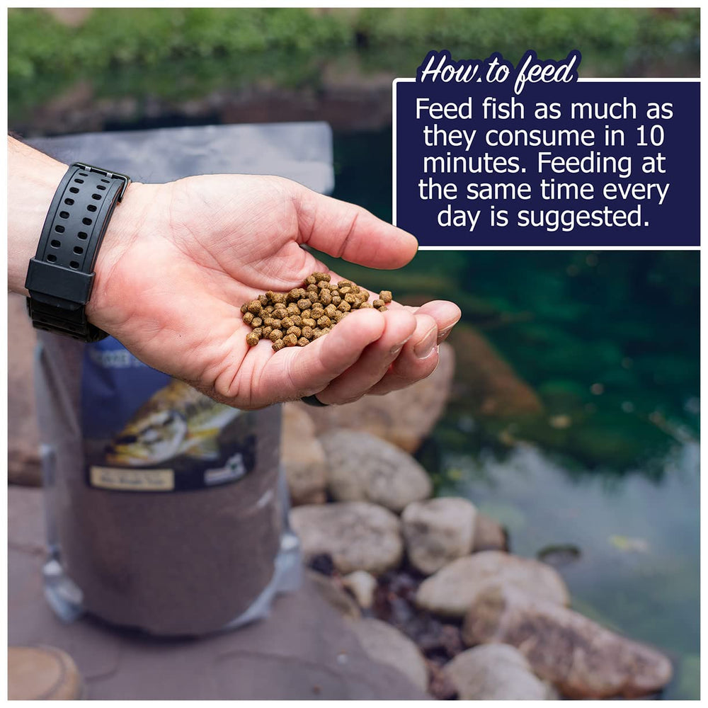 Natural Waterscapes automated feeder compatibility supports consistent pond feeding.