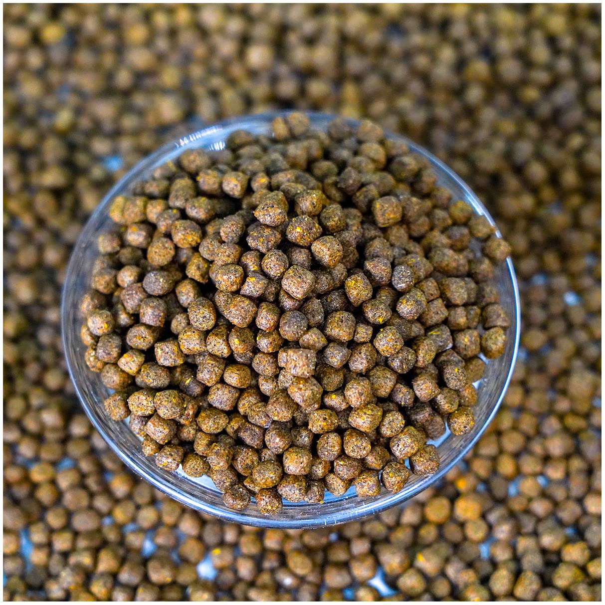 Natural Waterscapes trophy-grade pellets designed to support growth and efficient feeding.